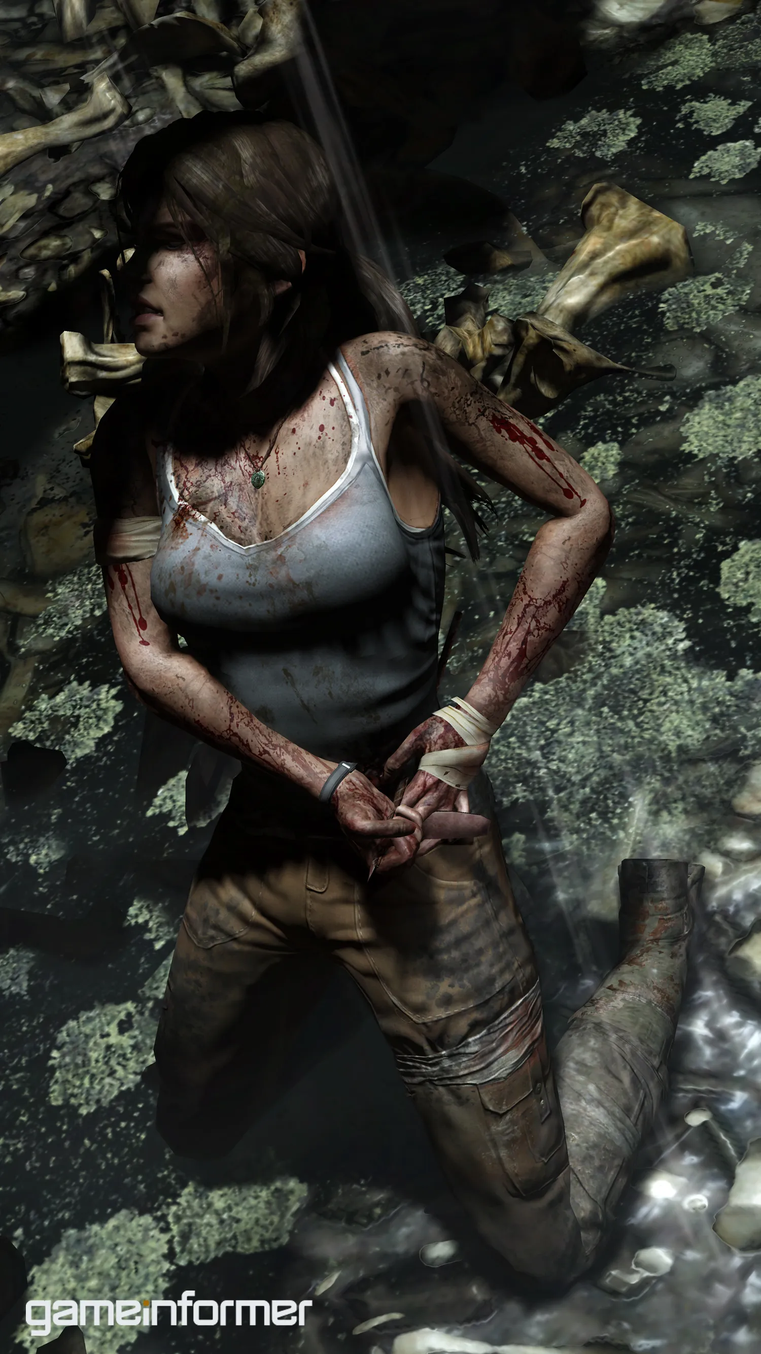 Tomb Raider Bonus Gallery