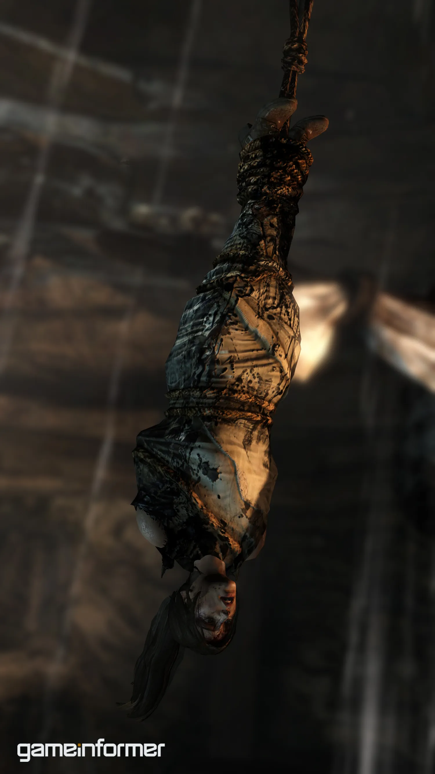Tomb Raider Bonus Gallery