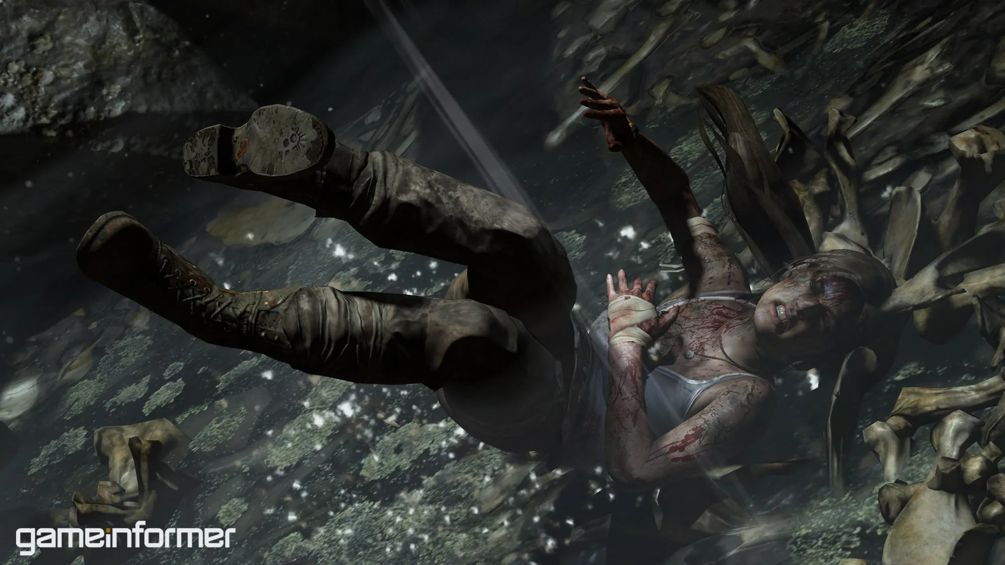 Tomb Raider Bonus Gallery