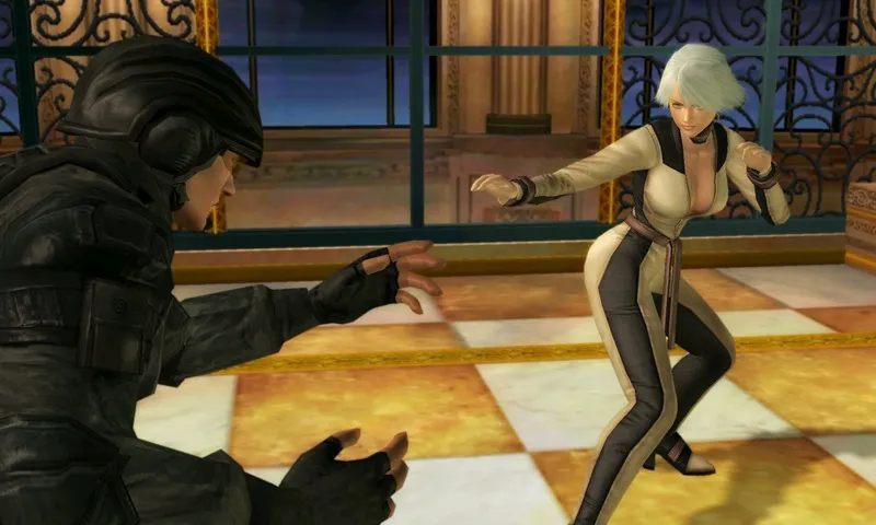 An Entirely Competent Portable Fighter