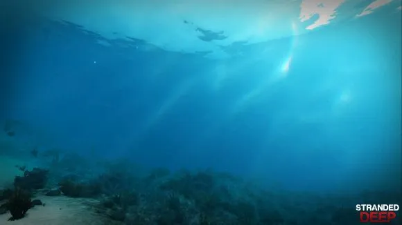 Survive On Land Or In The Ocean In A Procedurally-Generated World