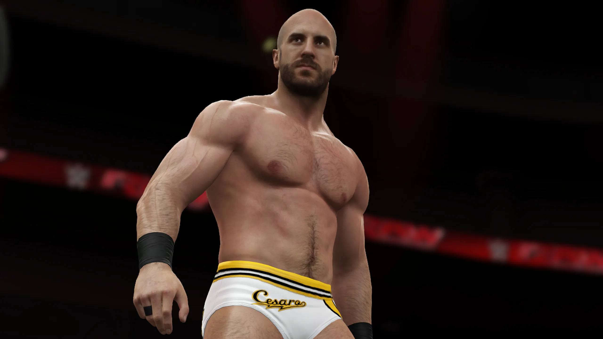 Bam Bam Bigelow And The Big Show Among 18 New Superstars Announced For WWE 2K16