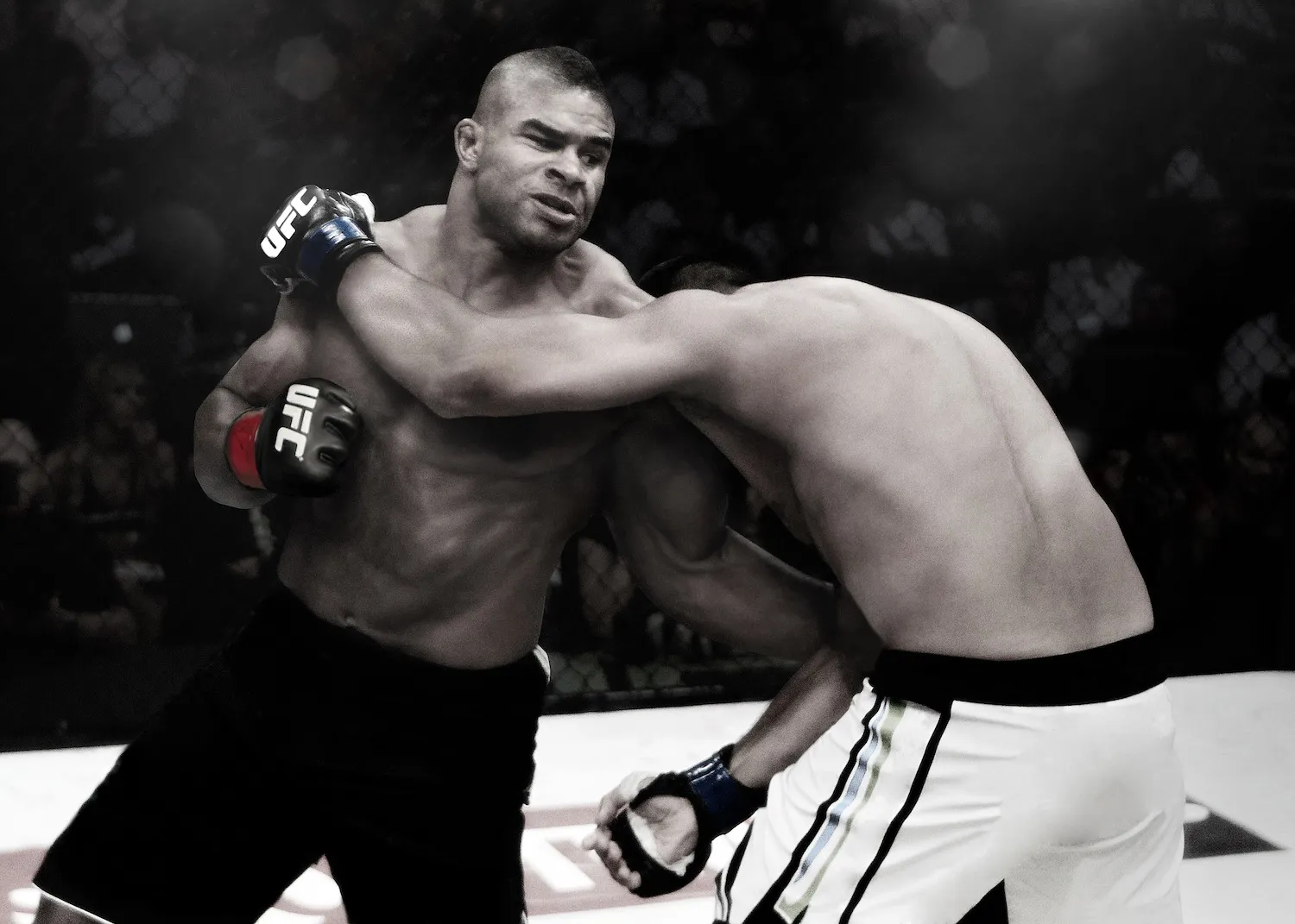UFC 3 Predicts Overeem Over Lesnar In UFC 141