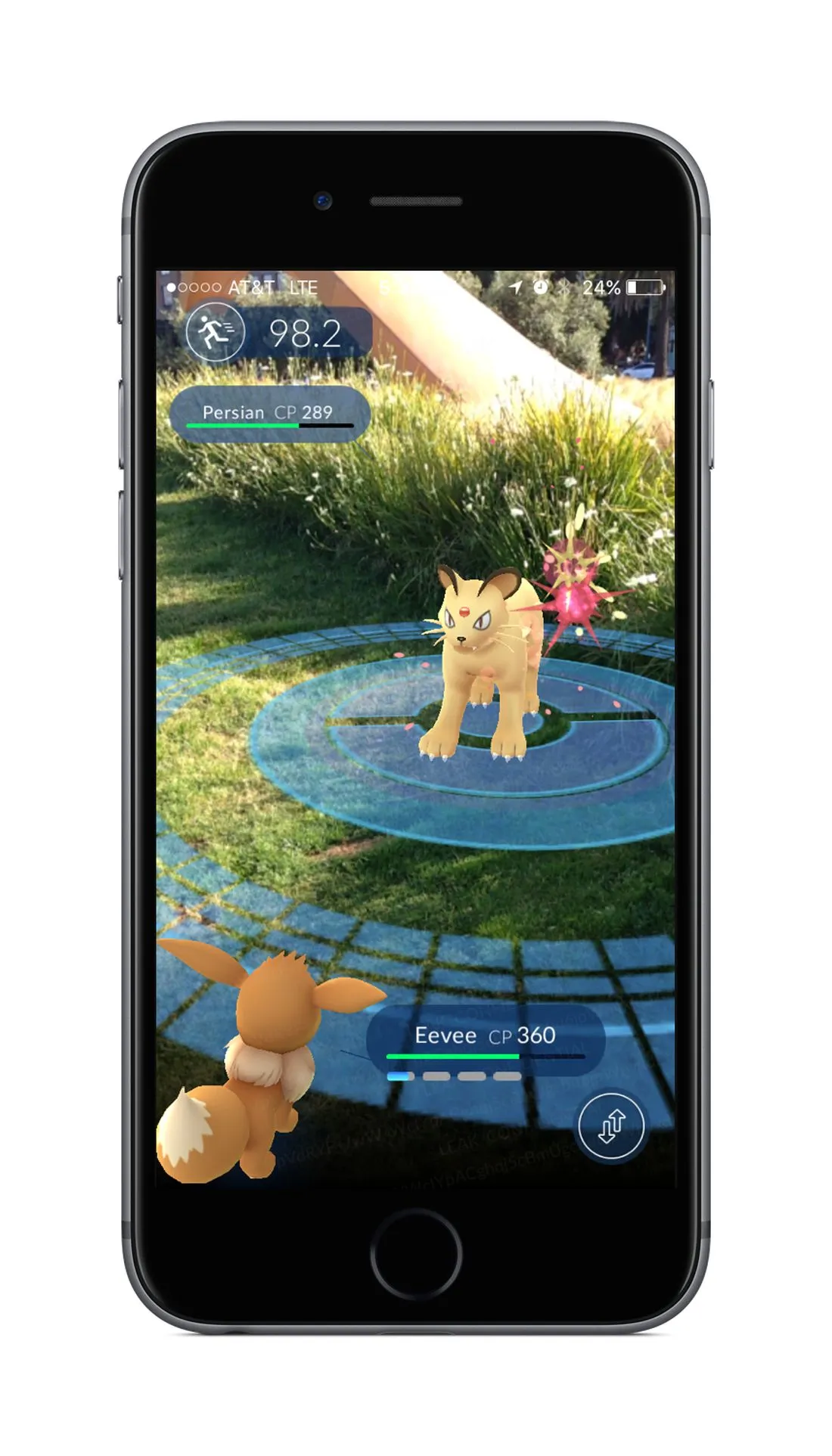 Our Pokémon Go Field Report