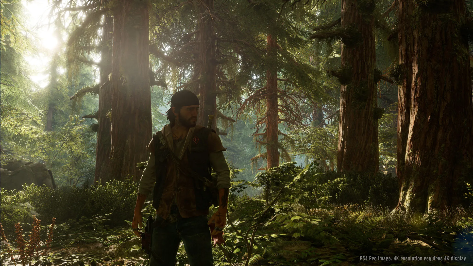 Days Gone Gameplay Demo Shows Motorcycle Rides, Brutal Fights, And A Zombie Bear