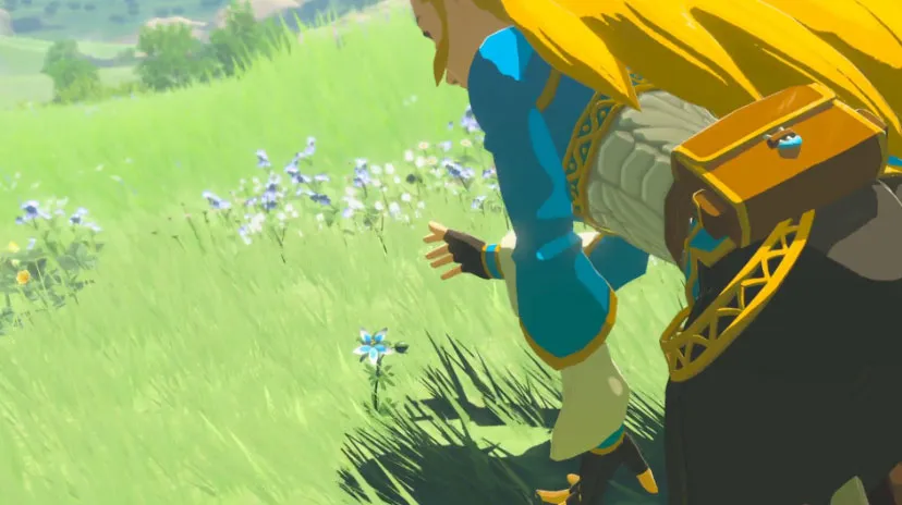 Everything We Know About Princess Zelda In Breath Of The Wild