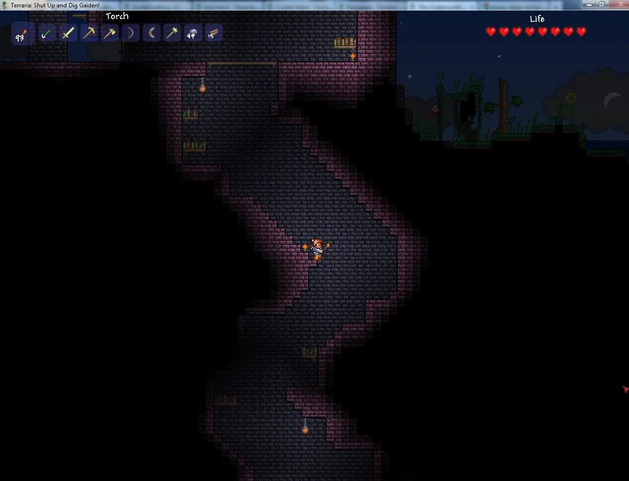 How I Became Addicted To Terraria