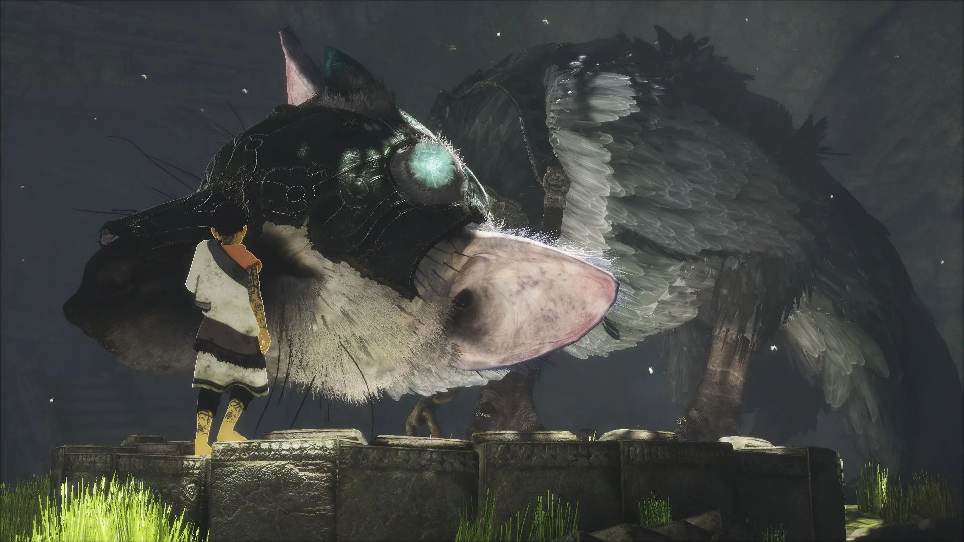 Forming A Special Bond: The First 30 Minutes Of The Last Guardian
