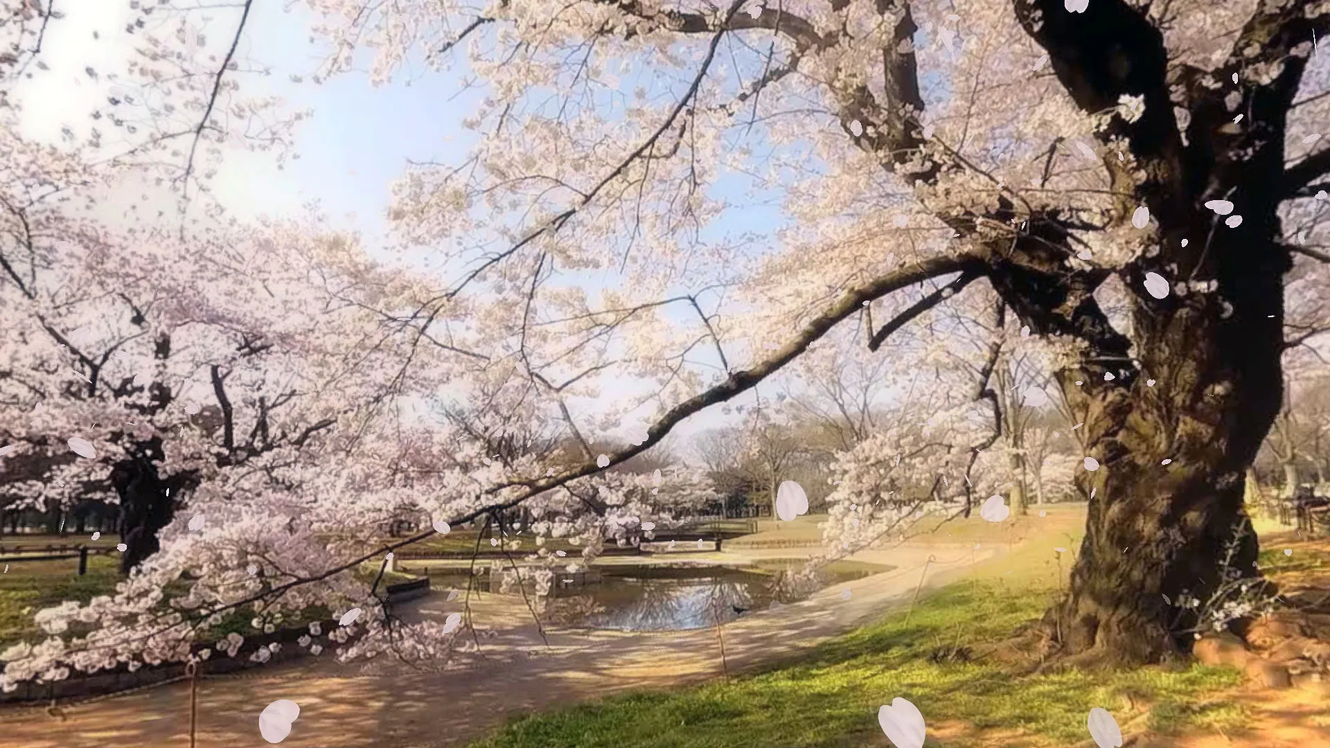 My Baffling Japanese PlayStation VR Experience