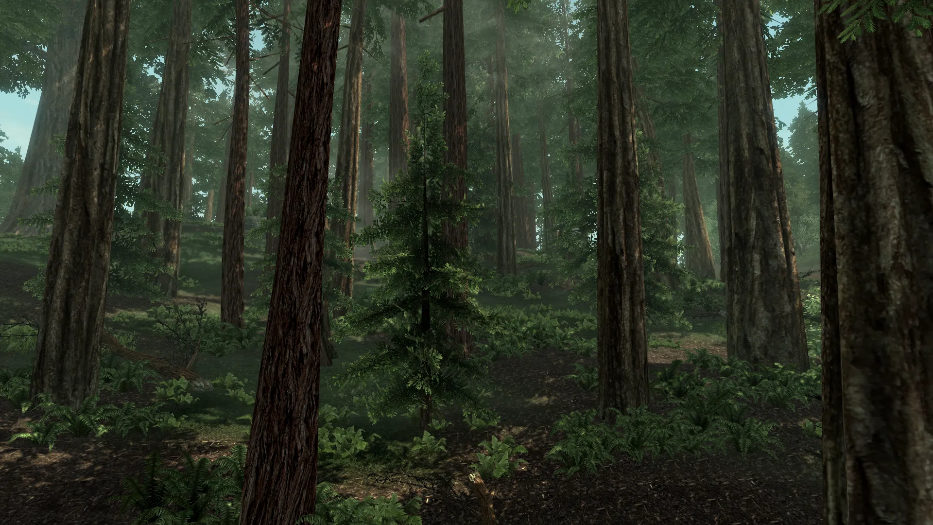 Beyond Skyrim Team Updates On Progress, Will Release First Content In 2015
