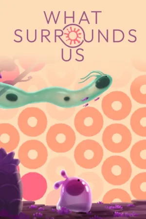 What Surrounds Us