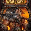 Blizzard Entertainment