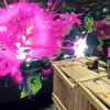 Splatoon 2: Octo Expansion