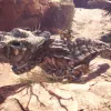 Game Informer