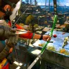 Dying Light: Bad Blood