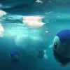 Pokémon Go