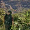 Ghost Recon Wildlands