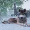 Planet Zoo