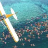 Microsoft Flight Simulator