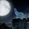 Mortal Kombat 11