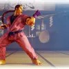 Street Fighter V