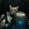 Halo Infinite