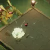 Death's Door