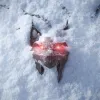 The Witcher 3: Wild Hunt