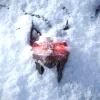The Witcher 3: Wild Hunt