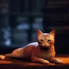 Game Informer