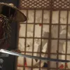 Ghost of Tsushima Director's Cut
