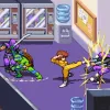 Teenage Mutant Ninja Turtles: Shredder's Revenge