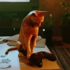 Game Informer