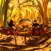 Game Informer