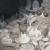 Mewgenics
