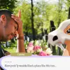 Pokémon Pokopia