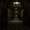 The Inpatient