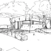 The Witness