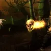 Videos