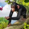 Zoo Tycoon
