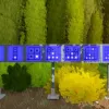 The Witness