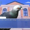 Hatoful Boyfriend