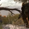 Medal of Honor