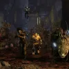 Evolve