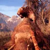 Far Cry Primal