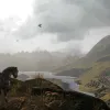 War of the Roses