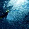 Abzu
