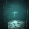 Soma