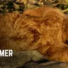 The Game Informer Show