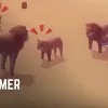 The Game Informer Show